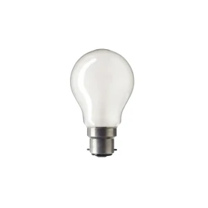 60W BC Rough service lamp