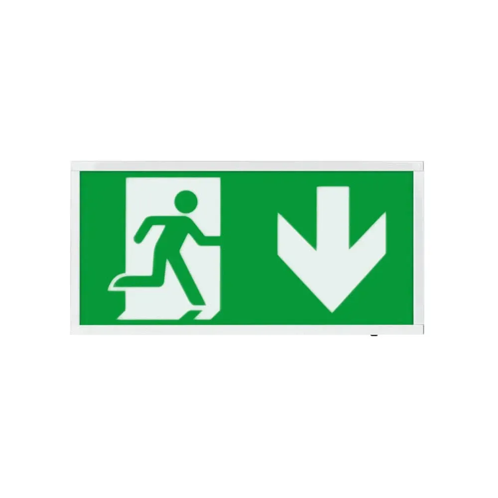 ESP D120DWH white LED emergency exit sign with down arrow