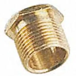 LMB25 - 25mm Brass Bushen Long for Galvanised Conduit