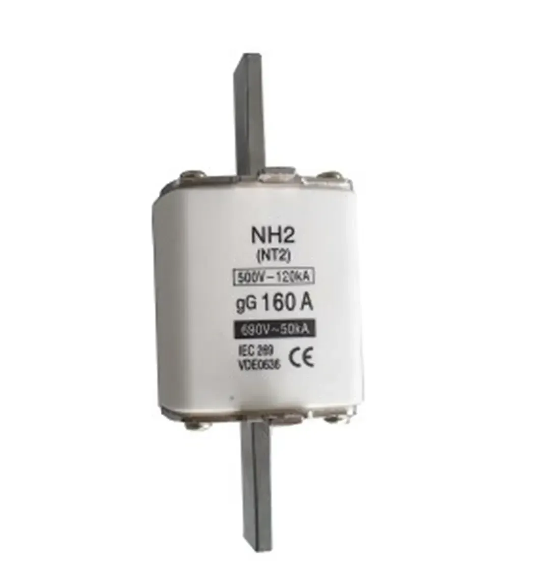 NH2160 - Nh2 160Amp Fuse