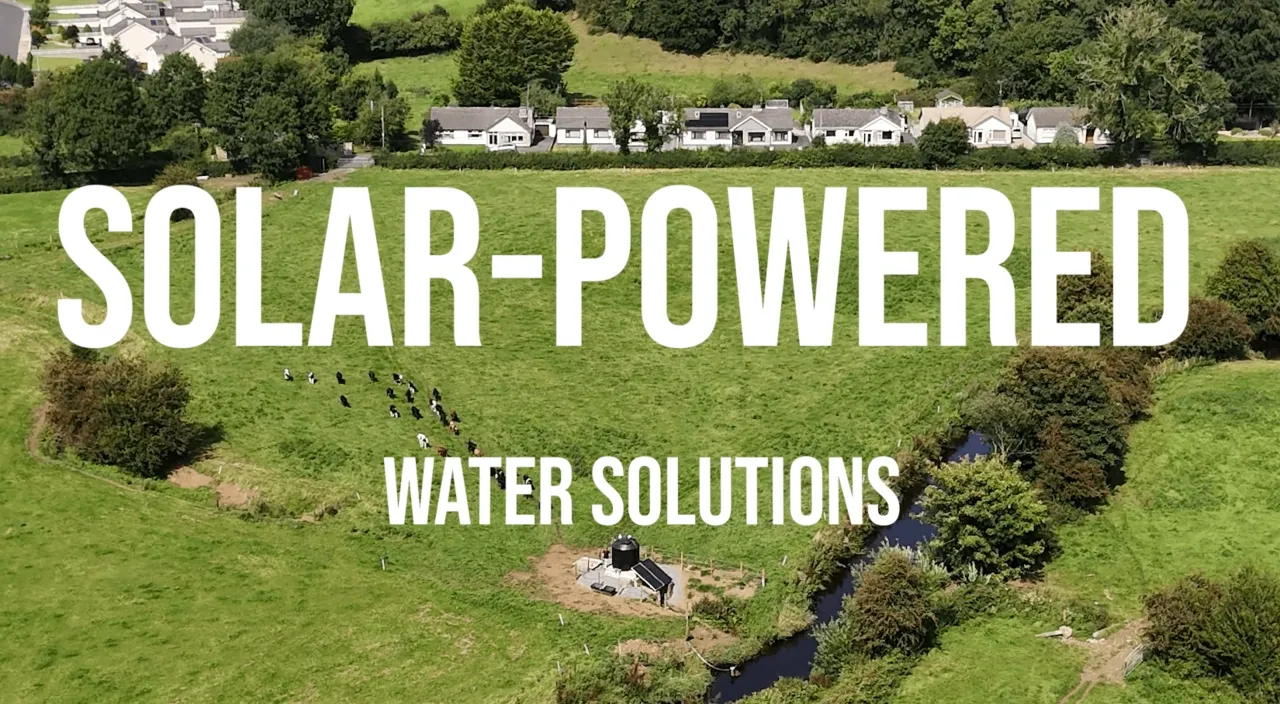 Harnessing the Sun: How the HBP4C-48-400 Solar Pump is Transforming Water Access for Farm Animals