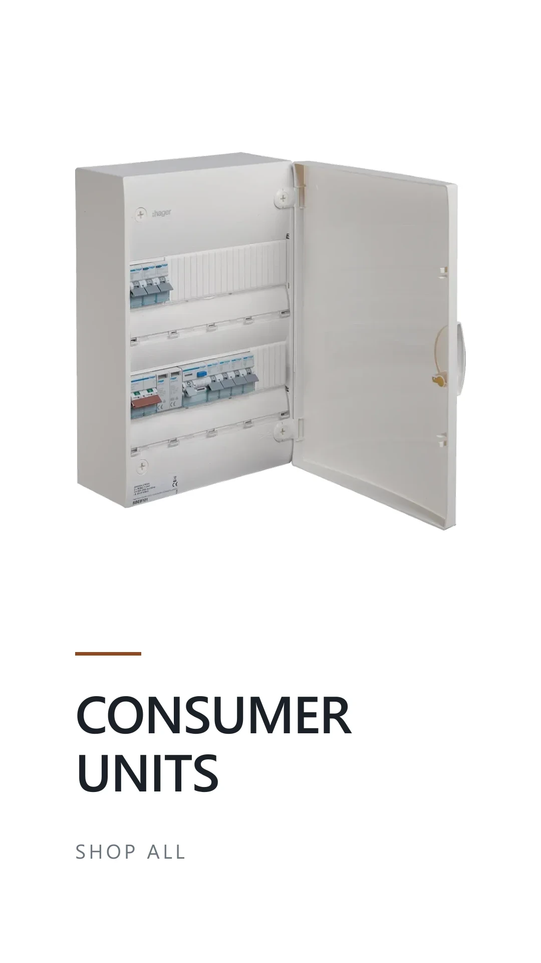 Consumer